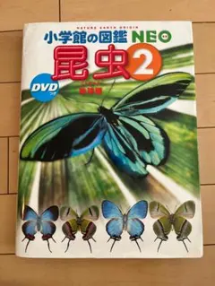 小学館の図鑑NEO昆虫②｜DVDなし｜セットお値引きあり