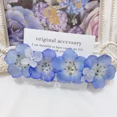 Item thumbnail for item bc9a57af-d1bc-477a-9b7d-27e8ad177bee