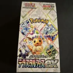 2026年最新】テラスタルフェスex boxの人気アイテム - メルカリ