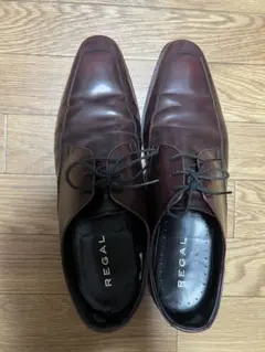 regal 26.5