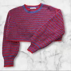 【希少/L】ZARA クロップド丈 ボーダーニット 赤×青 ショート丈　S924