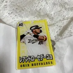 オリックス・バファローズ レアンドロ・セデーニョ選手 アクリルカード
