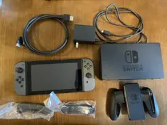 Nintendo Switch 【グレー】