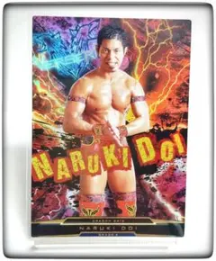 2026年最新】キングオブプロレスリングの人気アイテム - メルカリ