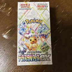 2026年最新】テラスタルフェスeX 未開封の人気アイテム - メルカリ