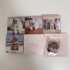 2026年最新】猫 サイベリアンの人気アイテム - メルカリ