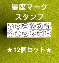 12星座マークのスタンプ　12星座セット あなたを守る小さな印✨