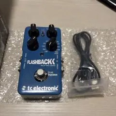 2026年最新】tc electronic flash back delayの人気アイテム - メルカリ
