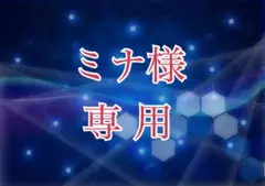 【ミナ様専用】