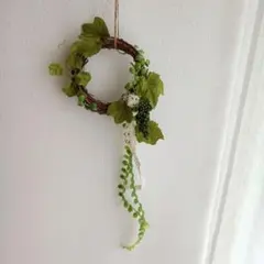 ワイヤーハンギングセット✿多肉寄せ植え✿そのまま飾れます - メルカリ