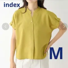 【美品】 インデックス　タックスリーブ半袖ブラウス M　ピスタチオ　速乾素材のサムネイル