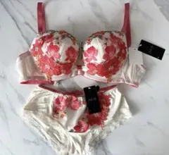 新品 Wacoal サルート ブラ ショーツ セット F70 リボンブラ