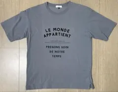 a.v.v ロゴプリントTシャツ グレー メンズ Mサイズのサムネイル