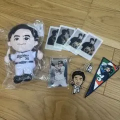 2025年最新】廣岡大志の人気アイテム - メルカリ