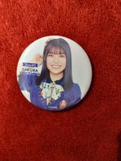 Item thumbnail for item 4d9f5e88-3ae6-481f-af51-ad17ee9f1fb8