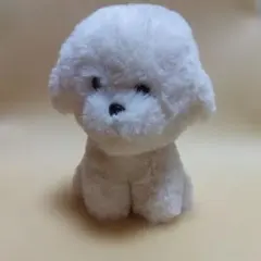 犬型ぬいぐるみ ホワイト