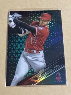 大谷翔平 ドジャース ワールドシリーズ優勝 ミスターカートゥーン