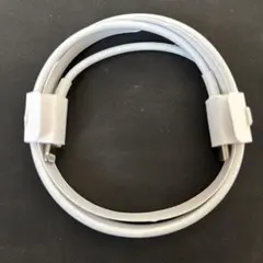 Apple純正 Lightning-USB typeC ケーブル A2561