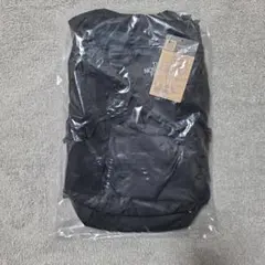 Item thumbnail for item f59e2ab7-1f8f-450e-b17a-c74ebe213d94