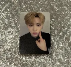 ald1 アルノ トレカ