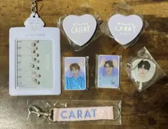 SEVENTEEN SVT グッズ ドギョム スングァン バーノン ディノ