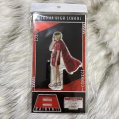 ハイキュー アクリルスタンド 挑戦者たち 孤爪研磨