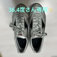 モレリアⅡJAPAN