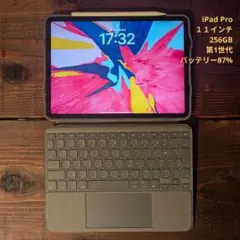 iPad Pro 11インチ 第1世代 256GB＋Apple Pencil