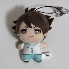 及川徹 ちみっともぬい ハイキュー