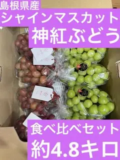 ① 【島根県産】シャインマスカット、神紅ぶどう 食べ比べセット約4.8キロ