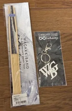 2026年最新】和楽器バンド アクリルキーホルダーの人気アイテム - メルカリ