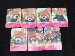 西山動物園 レッサーパンダ 第三弾 トレーディングカード 7枚セット
