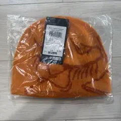 2025新色 Arc'teryx Bird Head Toque BLAZE - メルカリ