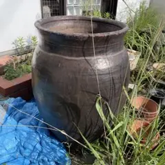 2025年最新】甕 メダカの人気アイテム - メルカリ