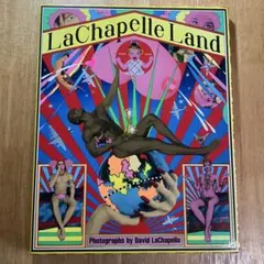 デビッド・ラシャペル David LaChapelle パネル張り アート - メルカリ
