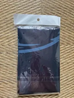 【新品・未開封】西武ライオンズ　ビニーポンチョ　フリーサイズ