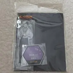 瑠*璃様 ドクターストーン 浅霧幻　ゲン アクスタ