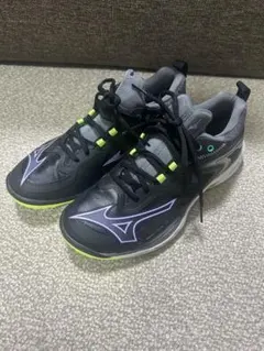 2026年最新】ミズノ ウエーブクロー バドミントンシューズの人気