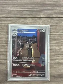 ペルシアン AR SV6a ナイトワンダラー 075/064