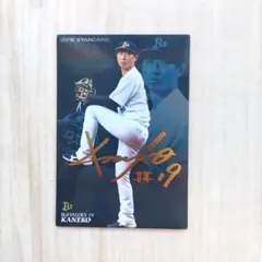 スネーク様 リクエスト 2点 まとめ商品