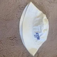 Item thumbnail for item 2c4cfbe5-570b-419d-9ec2-9230dedacee2