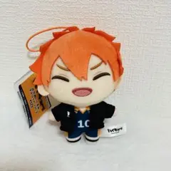 ハイキュー!! 日向翔陽　ぶちぬいぐるみマスコット vol.3 タグ付き