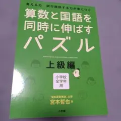 Item thumbnail for item 08946b2c-fa0a-44b8-97d2-0a78384b96db