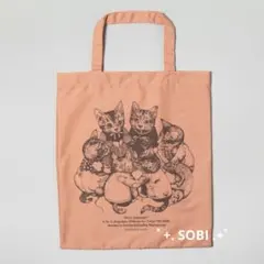 新品未開封 布ショッパー 秘密会議 ヒグチユウコ ボリス雑貨店　A