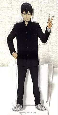 ハイキュー 影山飛雄 アクアリウムキャラバン