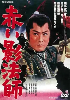 陰陽師 石田千尋 悪霊退散絵巻 DVD - メルカリ