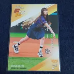 Item thumbnail for item f94a3c0e-5774-4409-9993-4daebdafe476