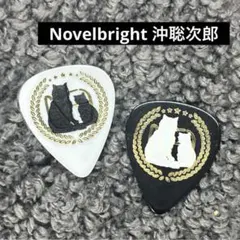 Novelbright ギターピック 沖聡次郎 竹中雄大 圭吾 ねぎ 山田海斗