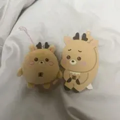 2026年最新】rIize ペンライト キーホルダーの人気アイテム - メルカリ