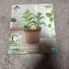 一番くじ 爬虫類&両生類 C賞 ニホンアマガエルと観葉植物スタンド　開封品